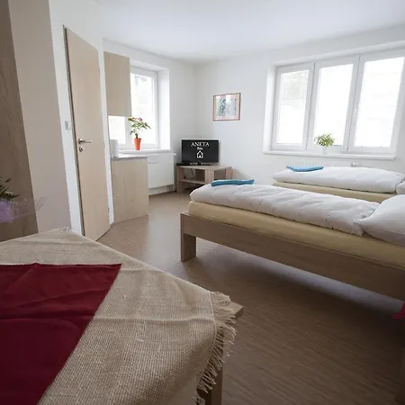 Aneta Gasthof 3*