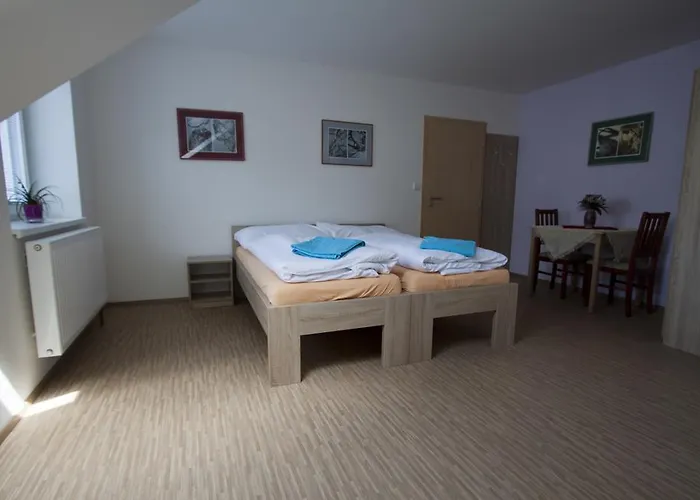 Aneta Pensionat 3*