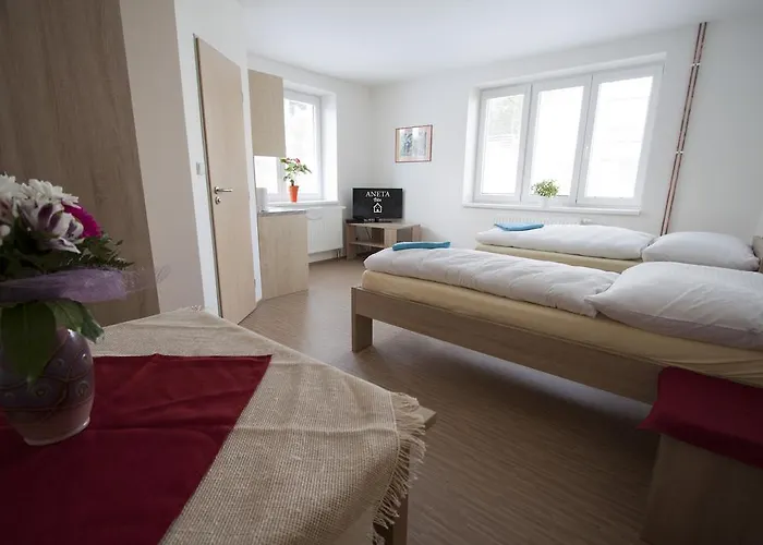 Aneta Pensionat 3*